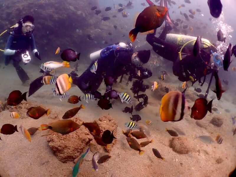 From Manila: Beginner's Scuba Diving Experience - Final Thoughts