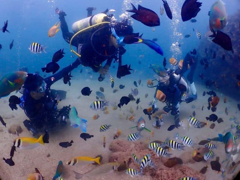 From Manila: Beginner's Scuba Diving Experience - Practical Details and What to Expect