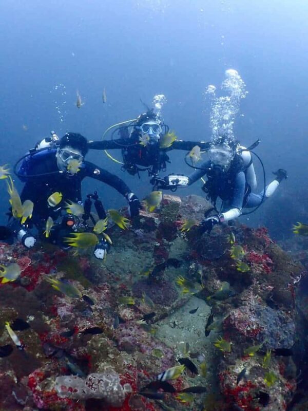 From Manila: Beginner's Scuba Diving Experience - What to Bring and What to Remember