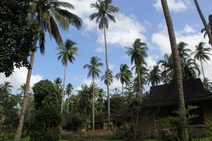 From Manila: Day Tour to Enchanting Hidden Valley - Activity Details