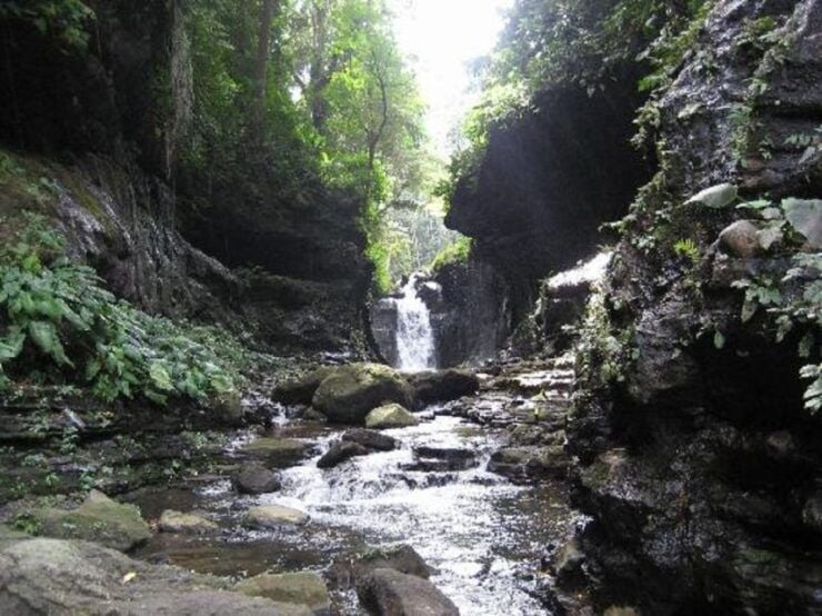 From Manila: Day Tour to Enchanting Hidden Valley - Review Summary