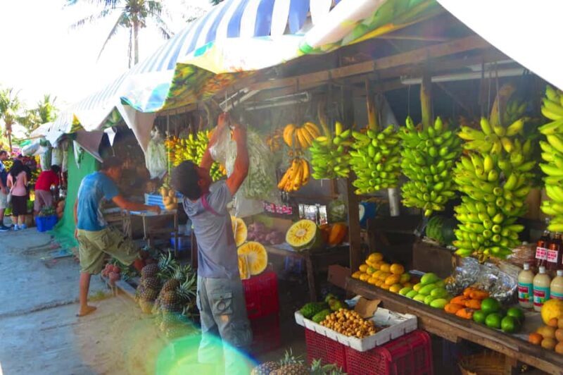 From Manila: Taal Volcano & Hidden Waterfalls Tour - A Closer Look at What You Can Expect