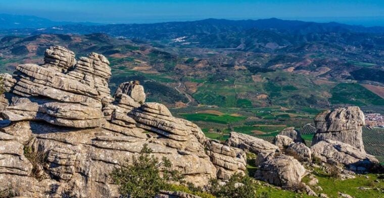 From Marbella: Antequera Wine Tour With Tastings and Lunch - Personalized Small Group Tour