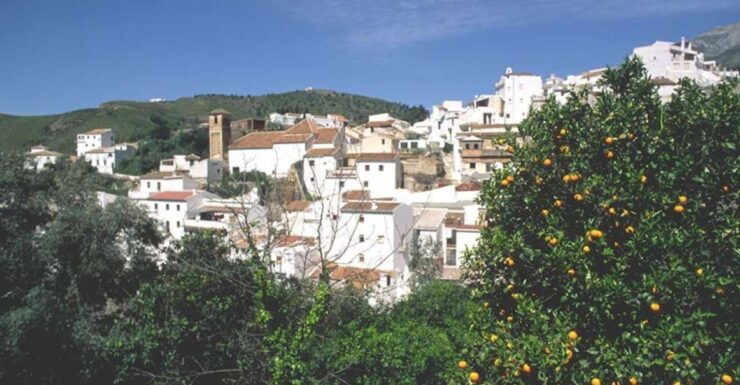 From Marbella: Axarquia Wine Tour With Wine Pairing Lunch - Booking Details