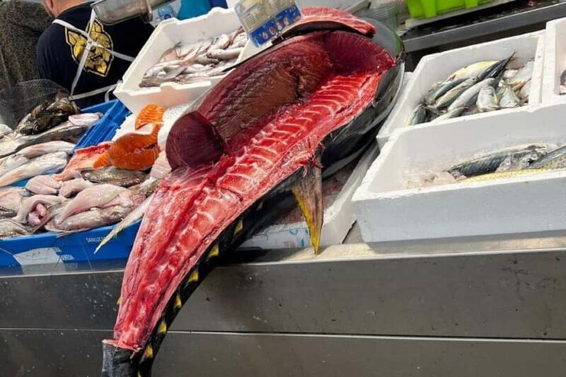 From Marbella: Cadiz and Jerez Private Daytrip - What to Expect from This Tour