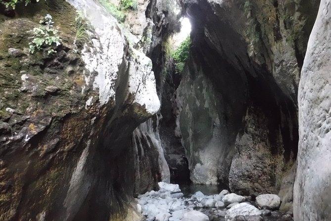 From Marbella: Canyoning Tour in Guadalmina Canyon - Additional Information and Cancellation Policy