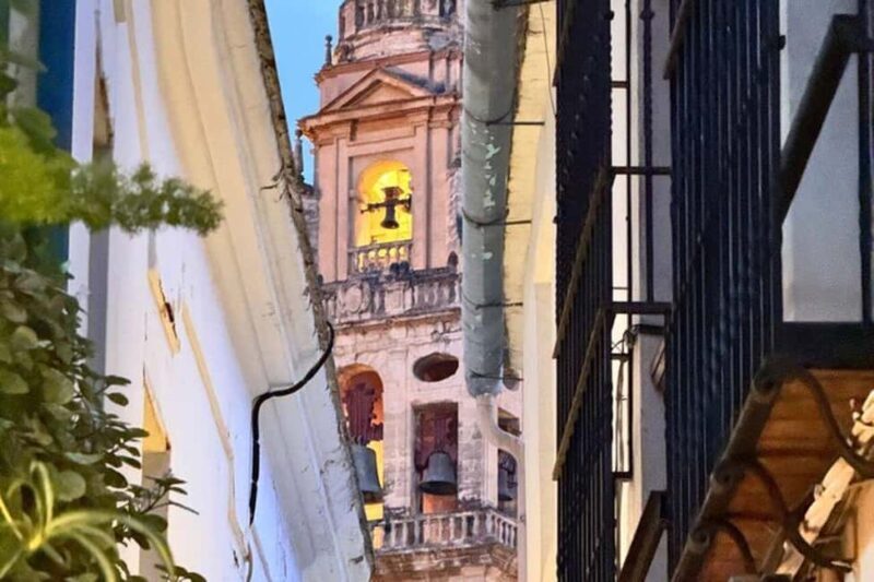 From Marbella: Cordoba Private Full-Day Trip - Good To Know