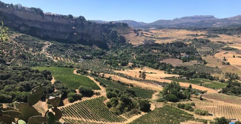 From Marbella: Ronda Tour Wineries Tour with Lunch - What Does the Tour Include?