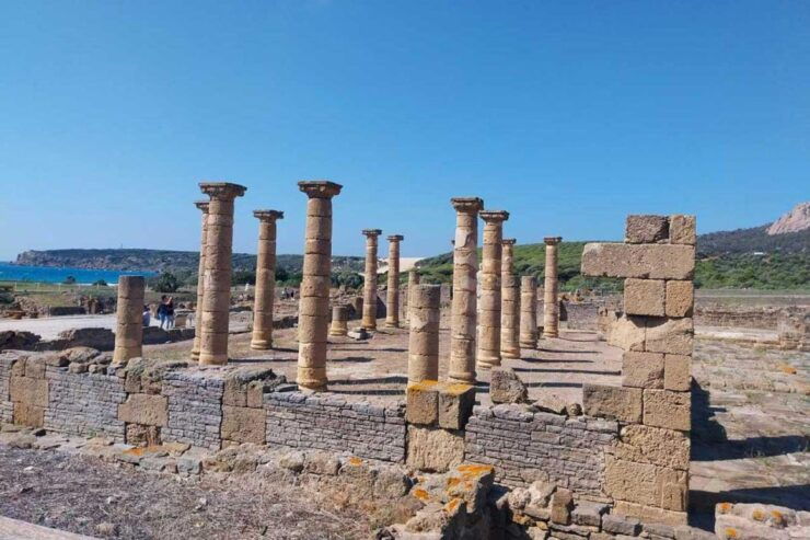 From Marbella: Tarifa & Bolonia Full-Day Food & History Tour - Tour Information and Guidelines