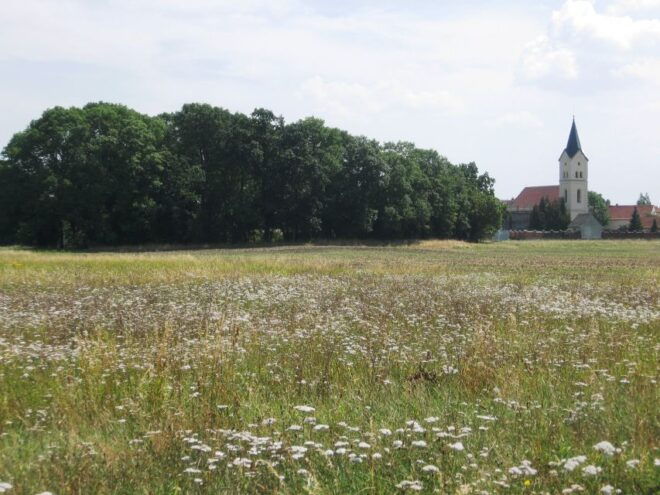 From Markkleeberg: Full-Day Guided Cycling Tour by the Lakes - Important Information