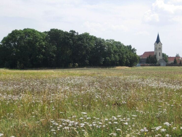 From Markkleeberg: Stadthafen and Auen Lake Cycling Tour - Activity Details