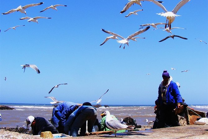 From Marrakech : 1-Day Group Trip To Essaouira - Overview and Highlights