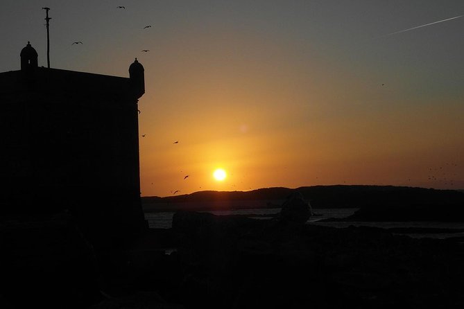 From Marrakech : 1-Day Group Trip To Essaouira - Reviews and Pricing