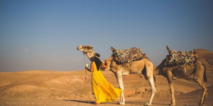 From Marrakech: 1-Hour Sunset Camel Ride in Agafay Desert - Experience Highlights