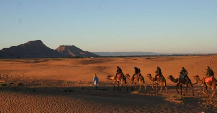 From Marrakech: 2-Day Zagora Desert Camp Trip - Trip Details