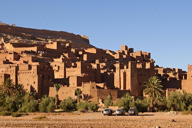 From Marrakech: 2 Days in the Desert of Zagora - Tour Operator Information