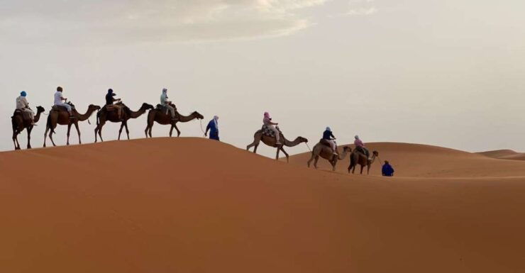 From Marrakech: 2 Days in Toubkal and 5 Days in the Desert - Marrakech Exploration and Local Cuisine