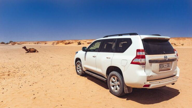 From Marrakech: 3 Day Desert Tour to Erg Chegaga - Tour Highlights