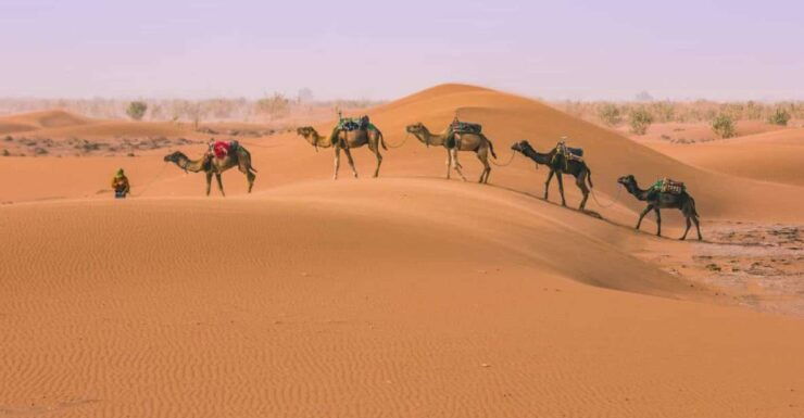 From Marrakech: 3-Day Desert Tour to Fes - Booking Details