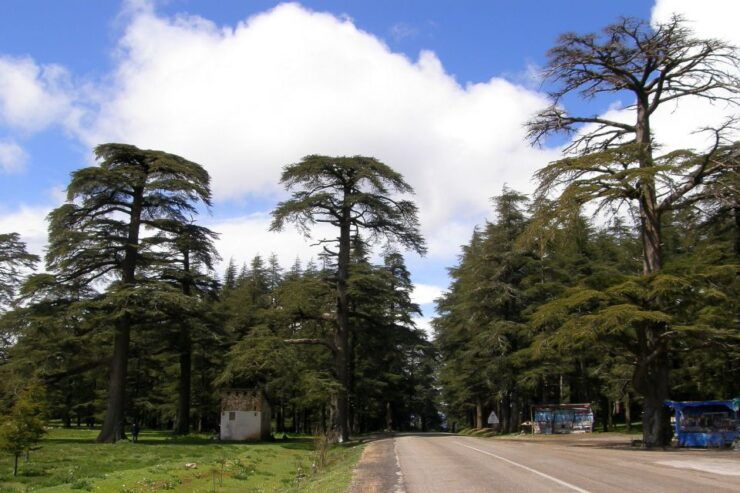 From Marrakech: 3-Day Desert Tour to Fes - Booking Details