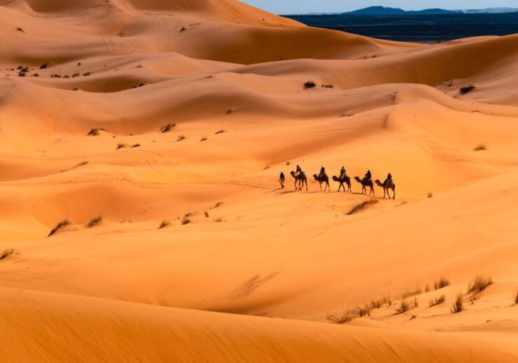 From Marrakech: 3-Day Sahara Desert Tour - Booking Details