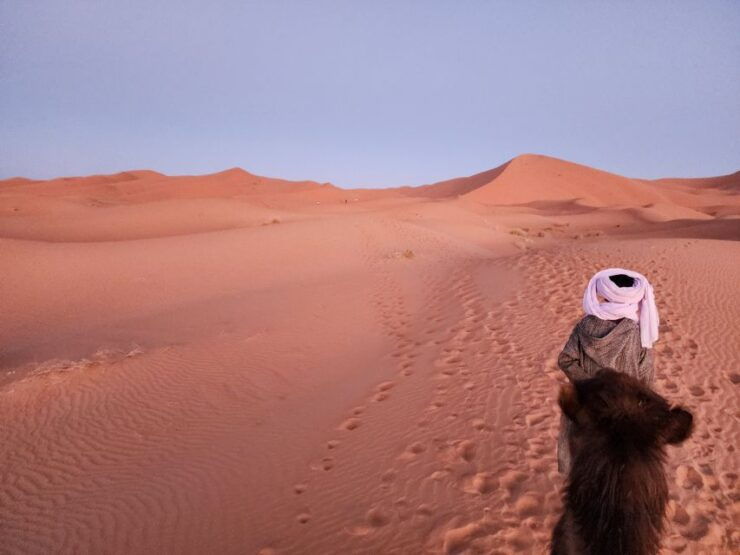 From Marrakech: 4-Day Excursion to Merzouga - Accommodations and Meals Included