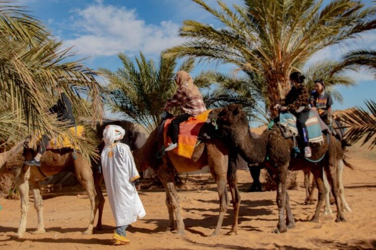 From Marrakech: 4 Days 3 Nights Desert Tour - Experience Highlights and Activities