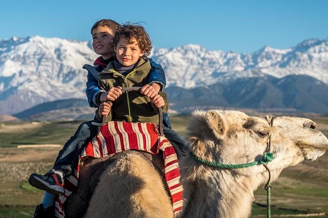 From Marrakech: Agafay Desert Camel Experience - Experience Overview