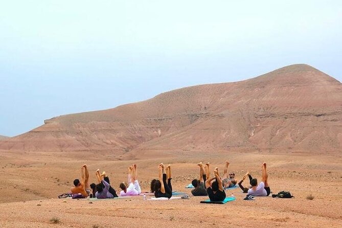 From Marrakech Agafay Desert Dinner Camel Ride and Sunset - Customer Reviews