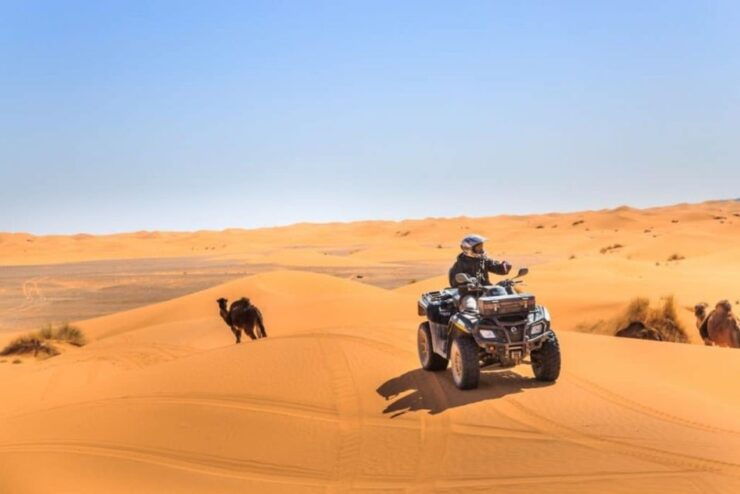 From Marrakech: Agafay Desert Dinner With Quad or Camel Ride - Activity Inclusions