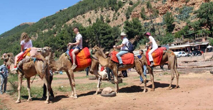 From Marrakech : Atlas Mountain, Berber Villages, Day Trip - Scenic Drive From Marrakech to Imlil