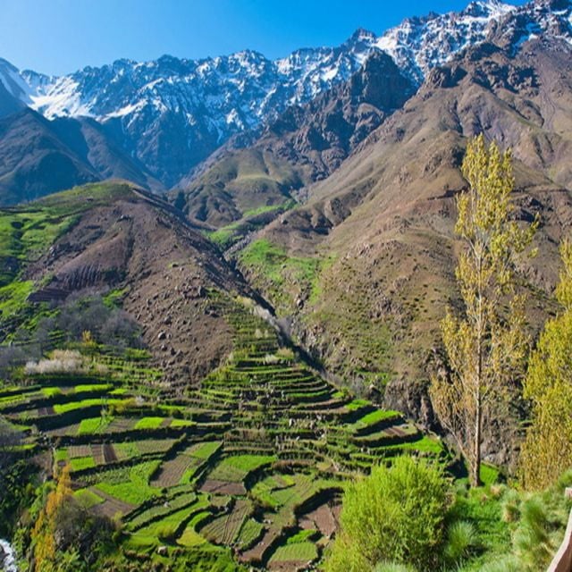 From Marrakech: Atlas Mountains and Berber Village Day Trip - Activity Details