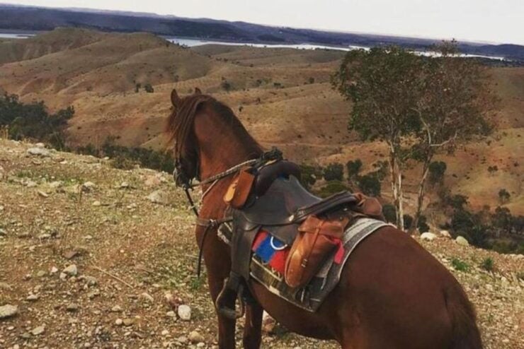 From Marrakech: Atlas Mountains Horse Riding Tour With Lunch - Experience Highlights