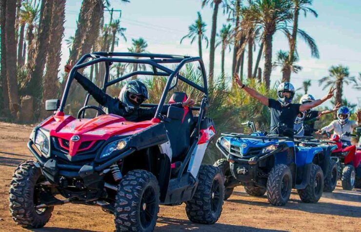 From Marrakech : Buggy Ride in the Palm Groves - Booking Details for Buggy Ride