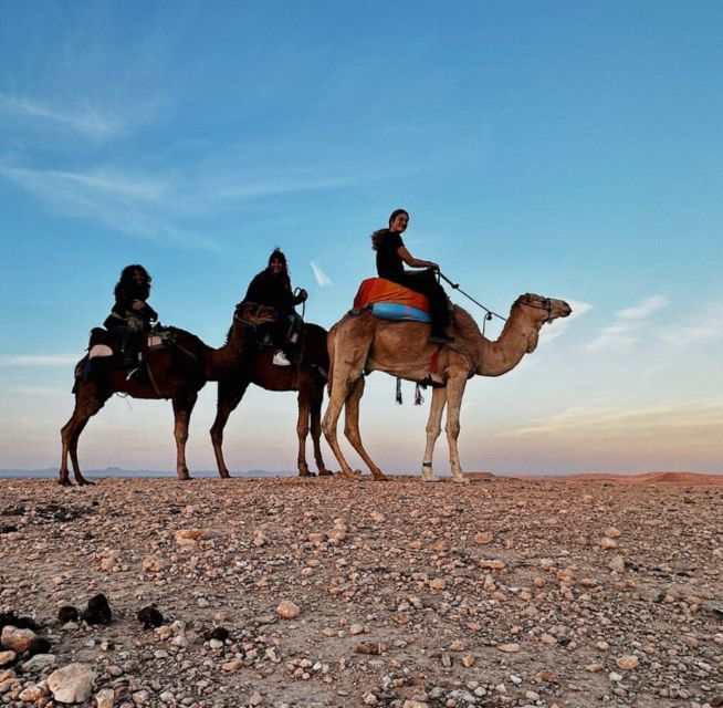 From Marrakech: Camel in Agafay Desert - Booking Details