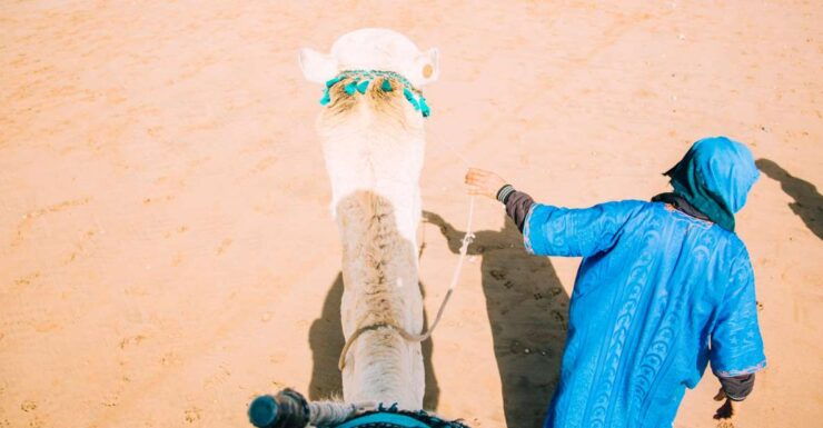 From Marrakech: Camel in Agafay Desert - Experience