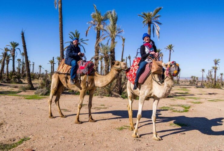 From Marrakech : Camel Ride in Palmeraie - Cancellation Policy Details