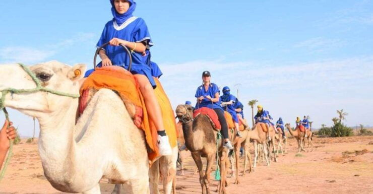 From Marrakech : Camel Ride in Palmeraie - Instructor Expertise and Languages