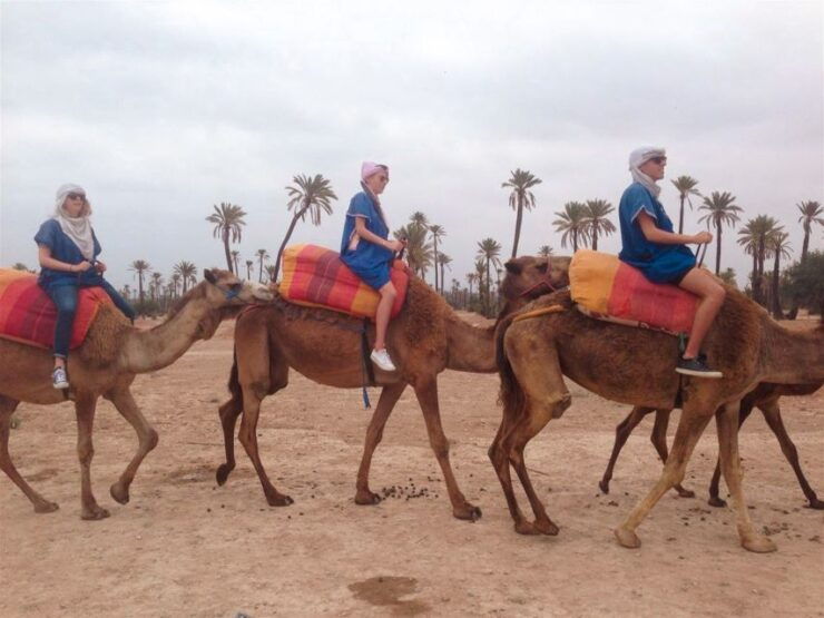 From Marrakech: Camel Ride, Quad Bike & Spa Full-Day Trip - Trip Overview