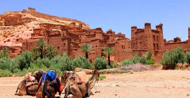From Marrakech : Day Trip to Ait Benhaddou and Ouarzazate - Experience Highlights