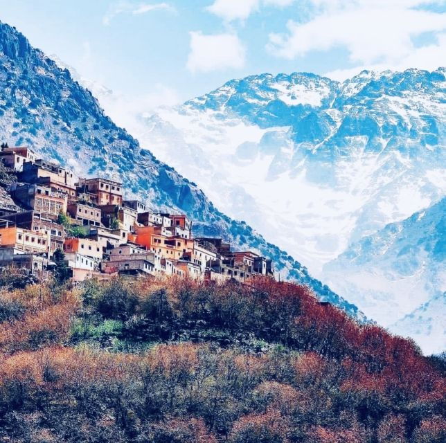 From Marrakech: Day Trip to Anima Garden and Imlil Valley - Experience Highlights