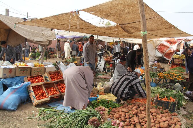 From Marrakech : Day Trip to Atlas Mountains With Camel Ride - Inclusions and Services