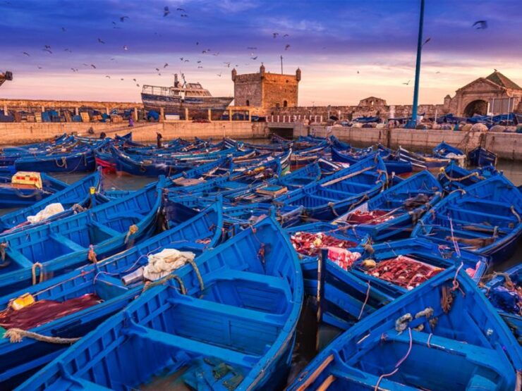 From Marrakech: Day Trip to Essaouira - Trip Information