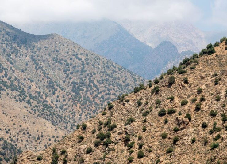 From Marrakech: Day Trip to Ourika Valley - Activity Description