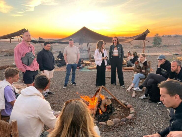 From Marrakech: Desert Trip, Palm Trees Quad, Camel & Dinne - Experience Highlights