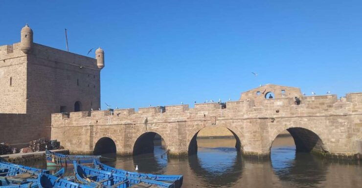 From Marrakech: Essaouira & Atlantic Coast Full-Day Trip - Scenic Drive and Coastal Exploration
