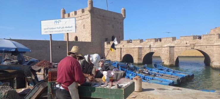 From Marrakech: Essaouira & Atlantic Coast Full-Day Trip - Cultural Immersion and Artisan Crafts