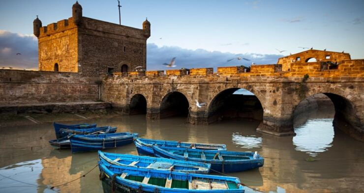 From Marrakech: Essaouira & Atlantic Coast Full-Day Trip - Activity Highlights