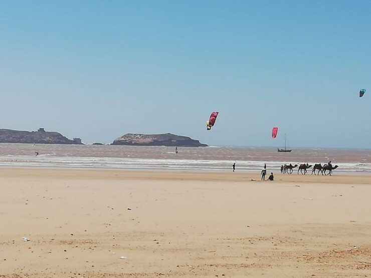 From Marrakech: Essaouira Coastal City Day Trip - Duration & Availability Information