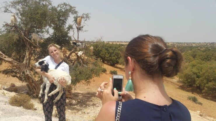 From Marrakech: Essaouira Day Trip by Van - Experience Highlights